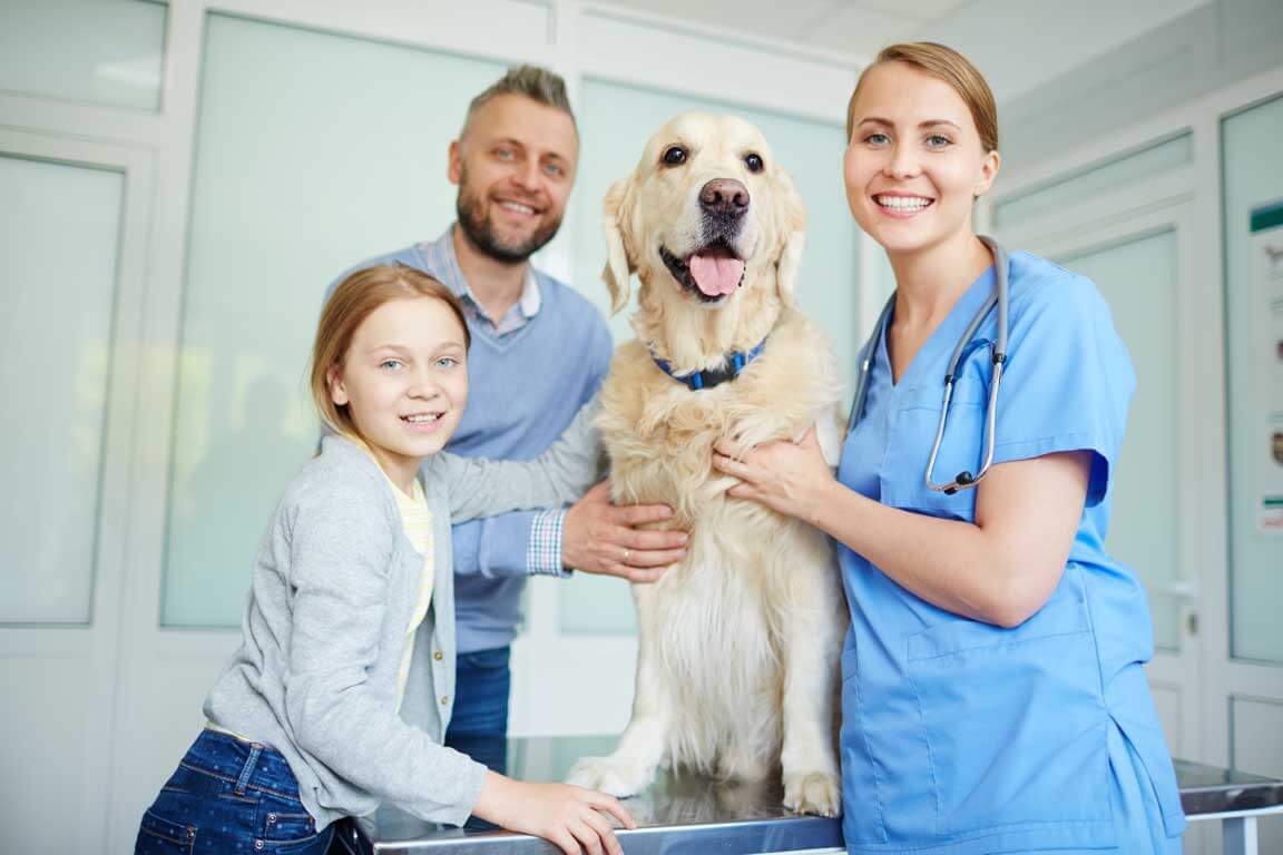 veterinerlik pethizmetleri.com